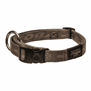Collier de chien Alpinist or