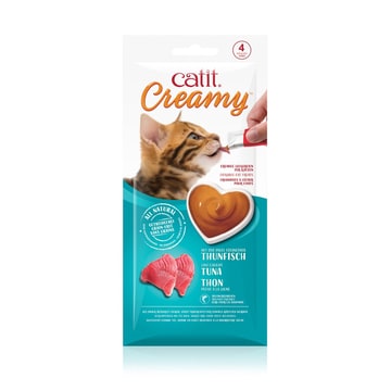 Creamy Snack