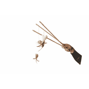 Canne à pêche pour chats “Natural Toy”