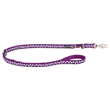 Laisse Design White Spots on Purple