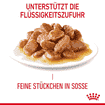 Hair & Skin Gravy - Frischebeutel