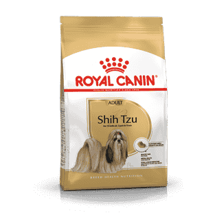 Shih Tzu