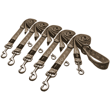 Dog leash Alpinist gold