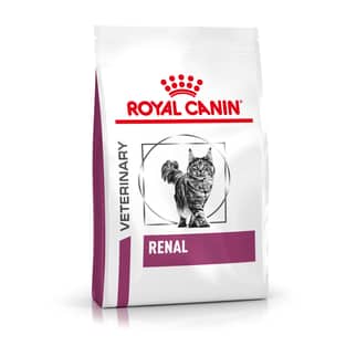 Renal Cat