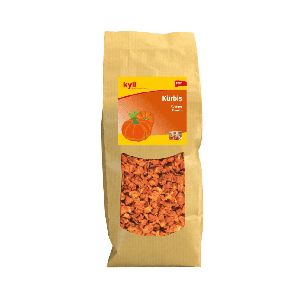 Kürbis