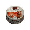 Carny Ocean Adult Cat