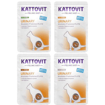 Urinary im Beutel
