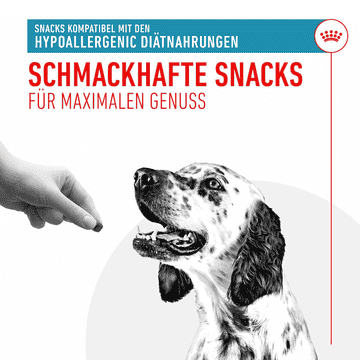 Hypoallergenic Treats