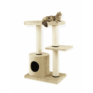 Arbre à chats Noha