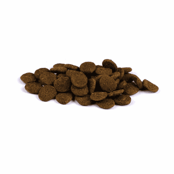 Dog Junior Large Breed True Fresh - Frisches Huhn