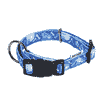 Collier & laisse Bluestar & Fantasy, bleu