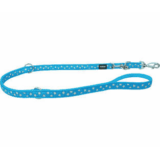 Laisse Design White Stars on Turquoise