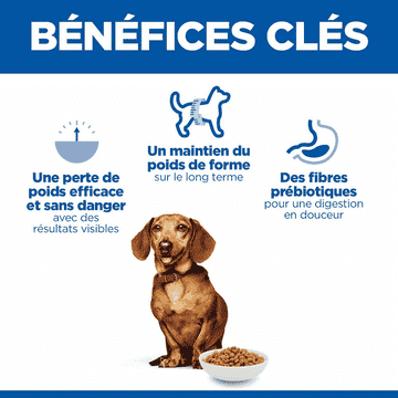 Canine Adult Perfect Weight Mini Breed