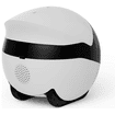 ROLA Mini Companion Robot