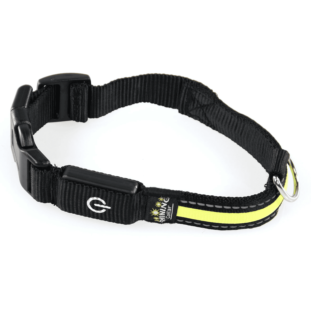 swisspet Fluo Collier lumineux