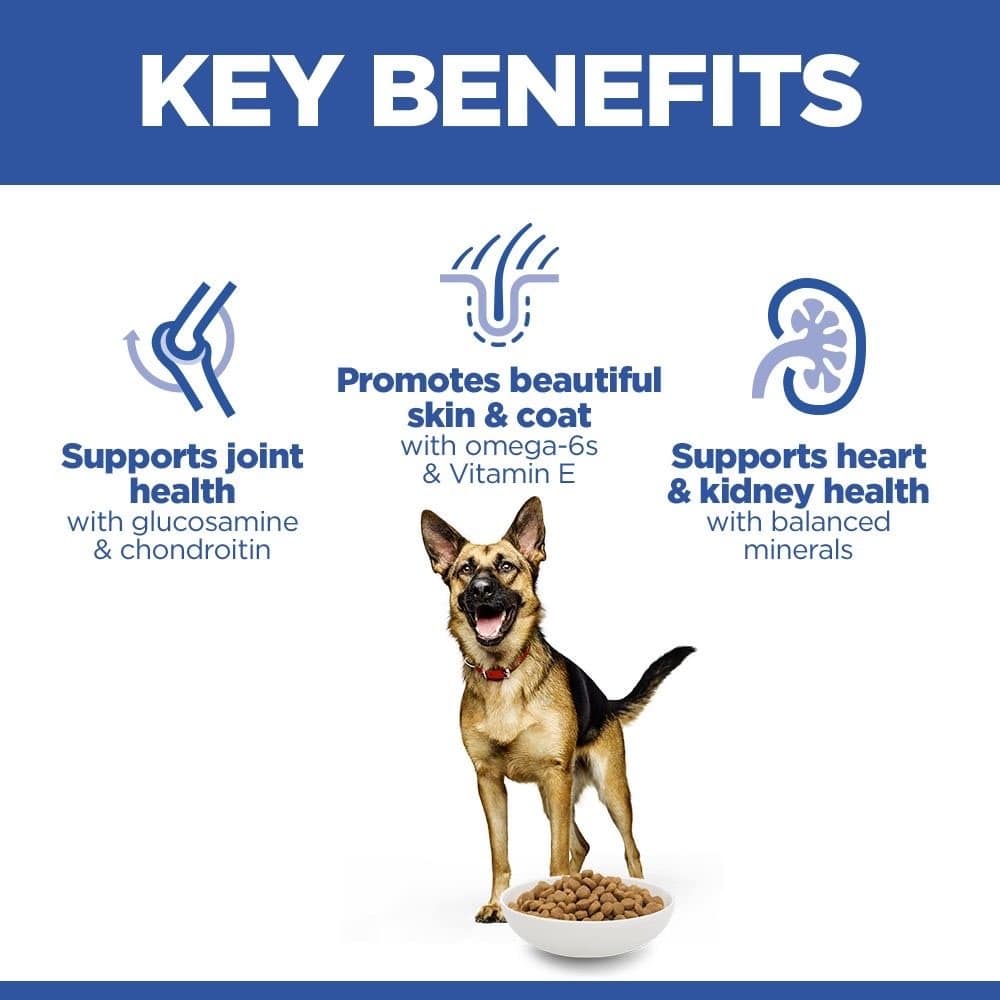 Canine Mature Adult 6+ Large Breed