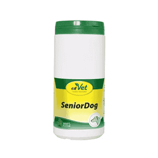 SeniorDog