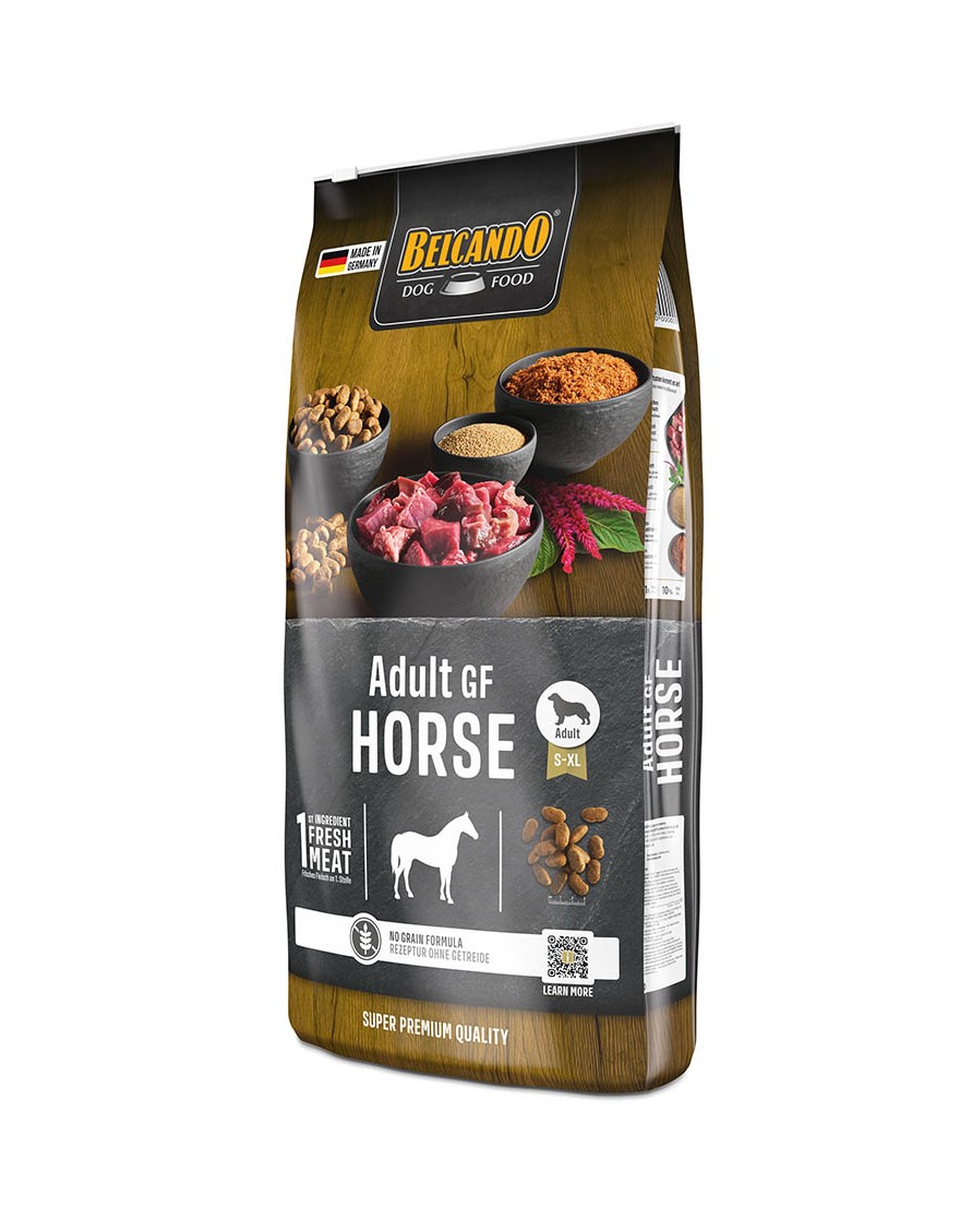 Adult GF Horse