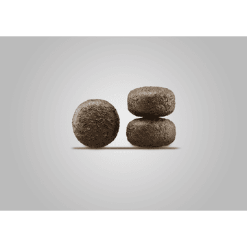 Weight & Diabetic Dog dry