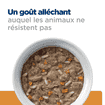 Feline k/d Kidney Care Tuna Stew - Boîte