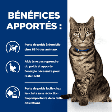 Feline Metabolic Weight & Diabetes Management Salmon