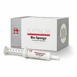 Bio-Sponge Seringue