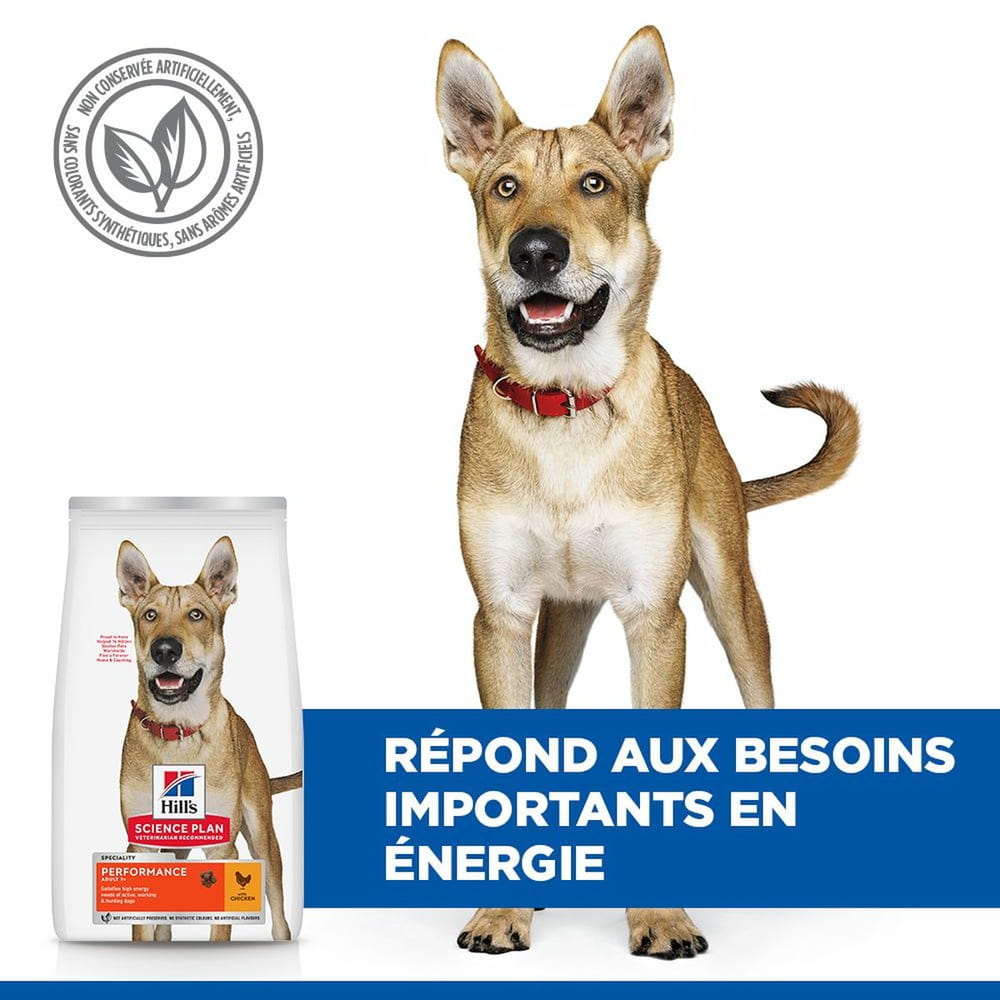 Canine Performance Adult