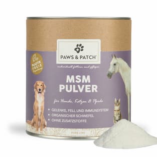 Poudre de MSM