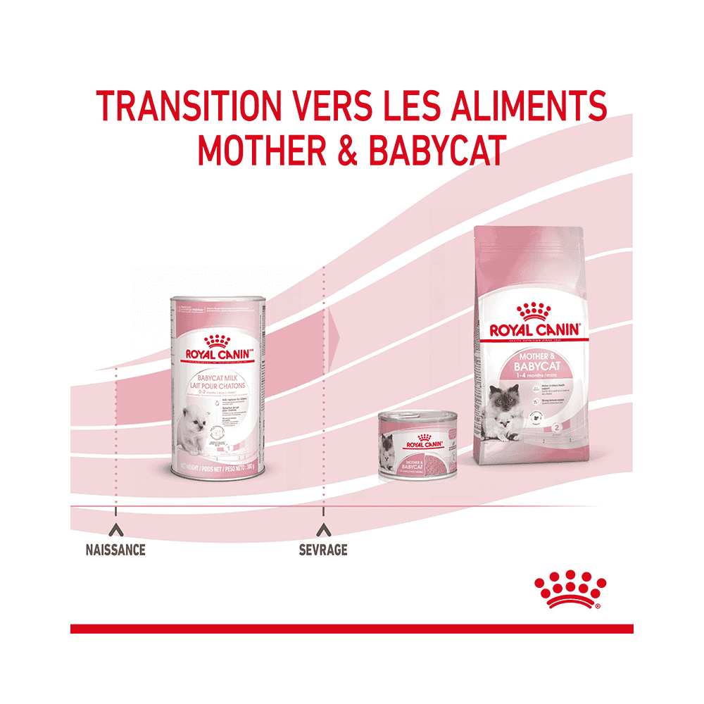 Babycat Milk