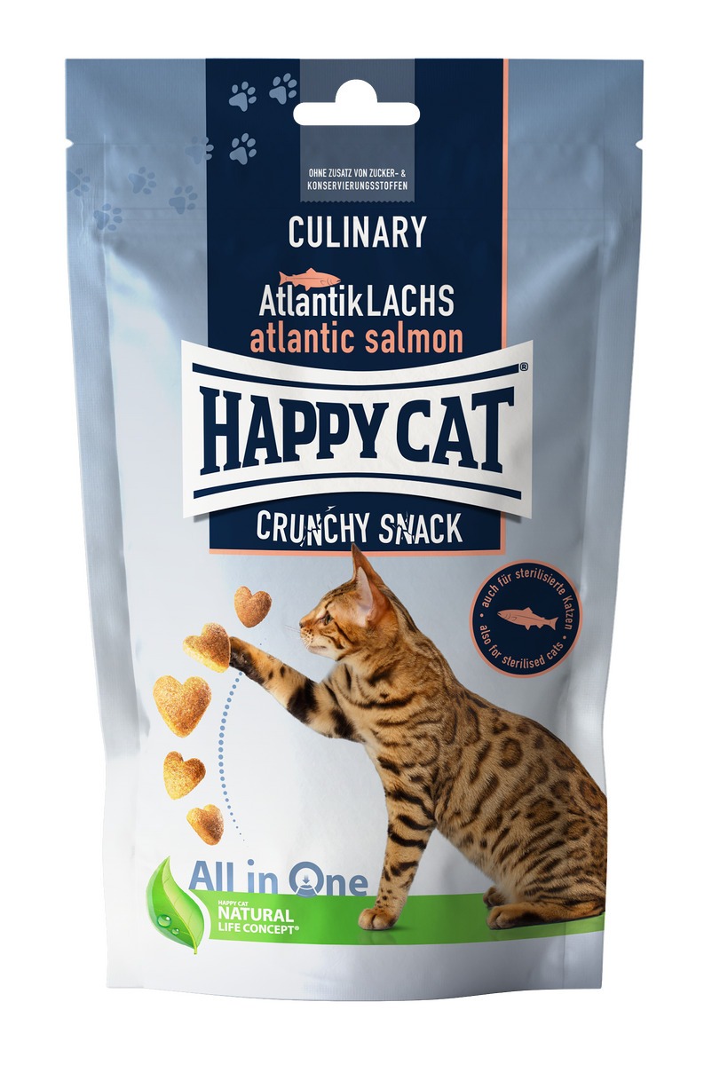 Culinary Crunchy Snack