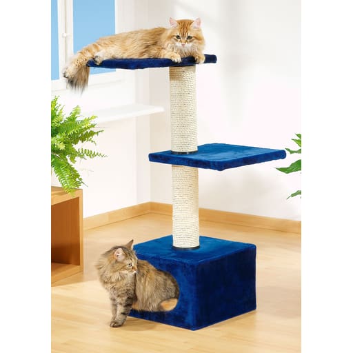 Arbre à chats Quasimo