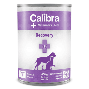 Canine/Feline Recovery