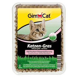GimCat herbes à chats à l'odeur du pré