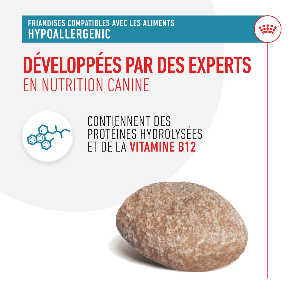 Hypoallergenic Treats