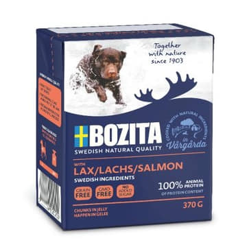 Dog Bouchées en gelée saumon