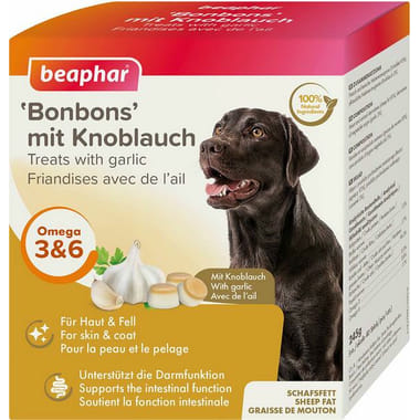 Bonbons mit Knoblauch