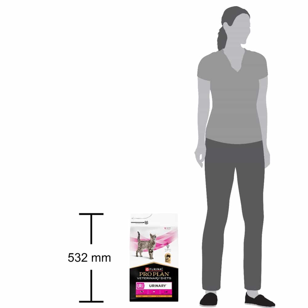 FELINE UR St/Ox Urinary