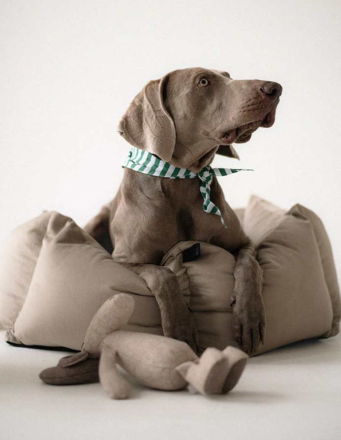 Lit pour chien Veludo Greige