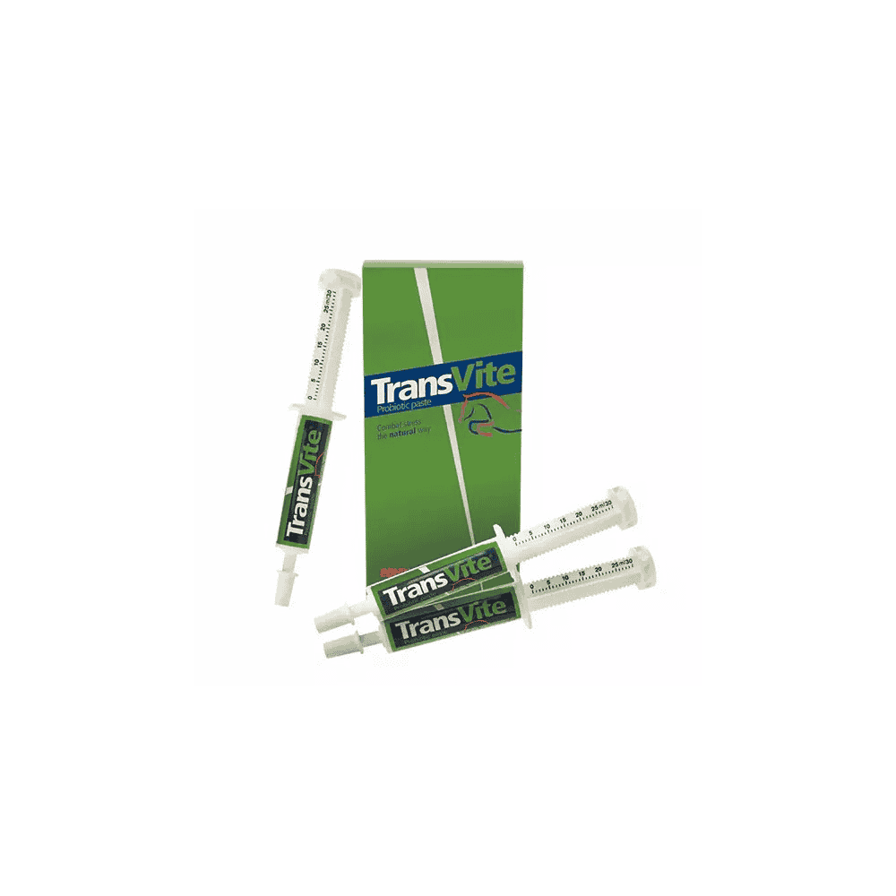 TransVite Paste