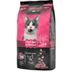 Adult Light Geflügel Cat