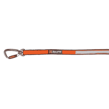 Move Leash Orange