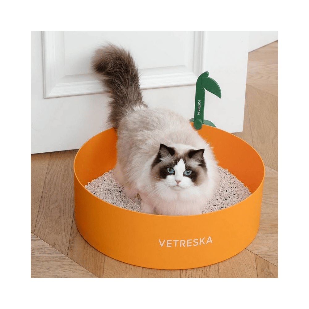 Katzentoilette Tangerine