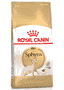 Sphynx