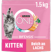 Kitten Lachs & Vollkorn