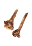 Tibia d'autruche