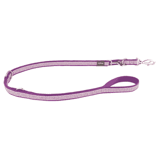 Leine Design Fang it Purple