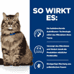 Feline Gastrointestinal Biome - Frischebeutel