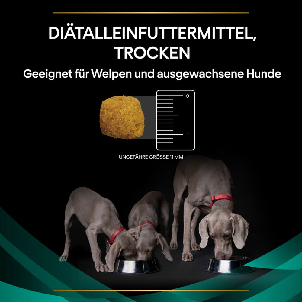 CANINE EN Gastrointestinal