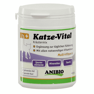 Katze-Vital