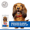 Canine Oral Care Adult